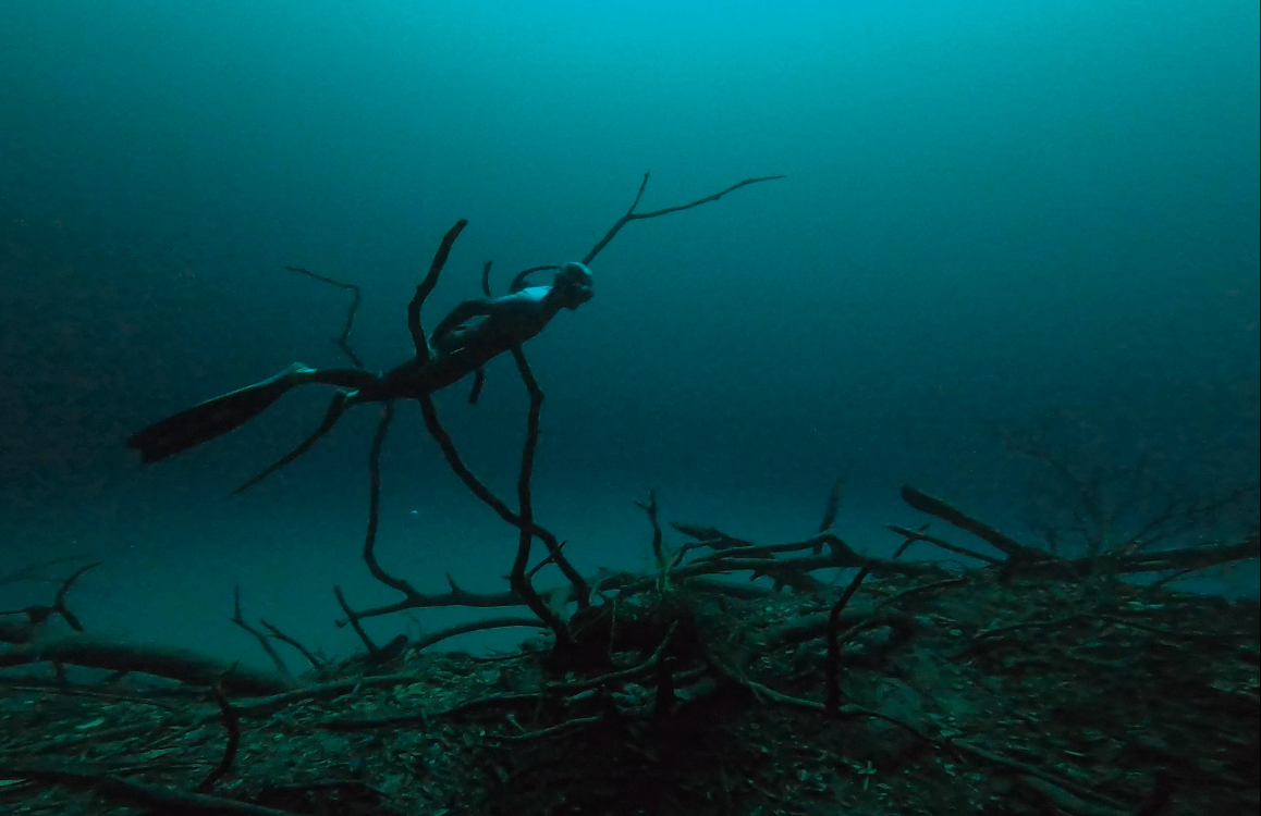 Personne en apnée profonde se baladant en toute quiétude dans un paysage mystique, incarnant le lâcher-prise, la connexion au moment présent et la confiance en soi. Sophrologue Nice, inspirant le bien-être.