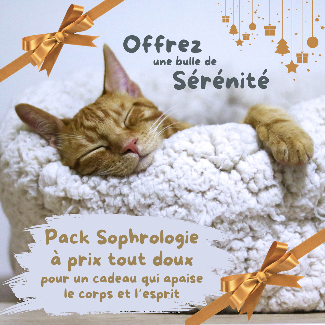 image montrant un chat qui dort paisiblement pour illustrer les bienfaits de la sophrologie et imager les offres spéciales pour les fêtes